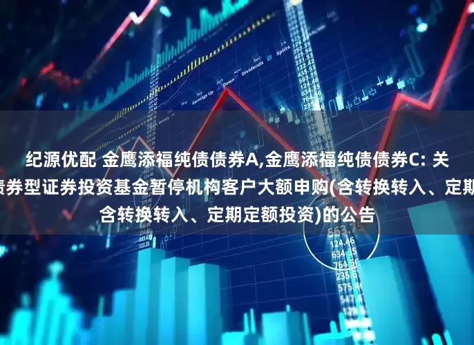 纪源优配 金鹰添福纯债债券A,金鹰添福纯债债券C: 关于金鹰添福纯债债券型证券投资基金暂停机构客户大额申购(含转换转入、定期定额投资)的公告