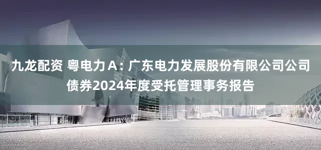 九龙配资 粤电力A: 广东电力发展股份有限公司公司债券2024年度受托管理事务报告