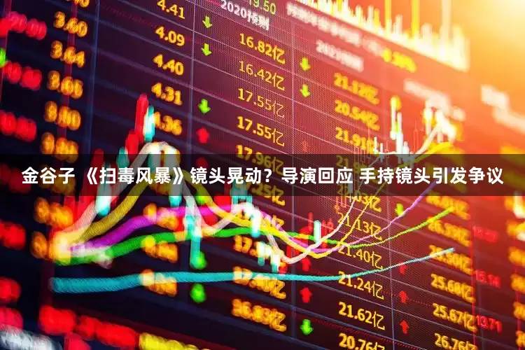 金谷子 《扫毒风暴》镜头晃动？导演回应 手持镜头引发争议