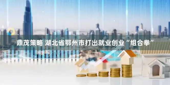 鼎茂策略 湖北省鄂州市打出就业创业“组合拳”