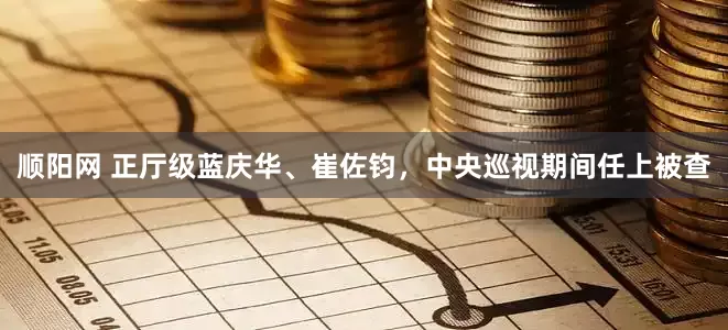 顺阳网 正厅级蓝庆华、崔佐钧，中央巡视期间任上被查