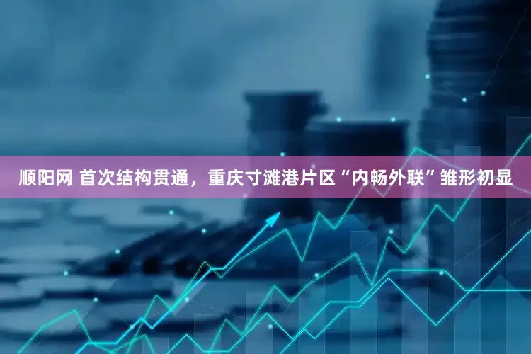 顺阳网 首次结构贯通，重庆寸滩港片区“内畅外联”雏形初显