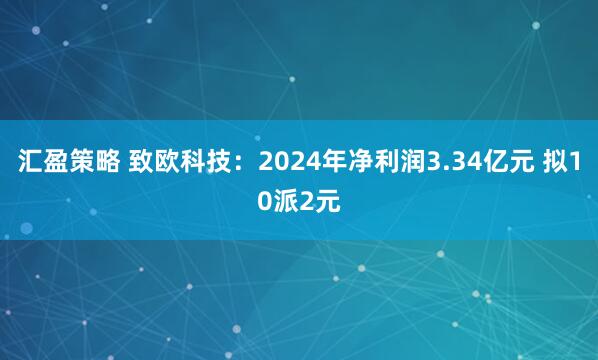 汇盈策略 致欧科技：2024年净利润3.34亿元 拟10派2元