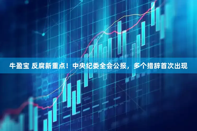 牛盈宝 反腐新重点!中央纪委全会公报,多个措辞首次出现